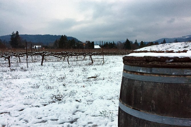 Full-Day Mt Hood Waterfall Tour With Lunch and Wine Included - Winery Tastings