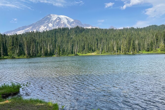 Full-Day Mt Rainier National Park Private Tour in SUV - Customer Reviews and Feedback