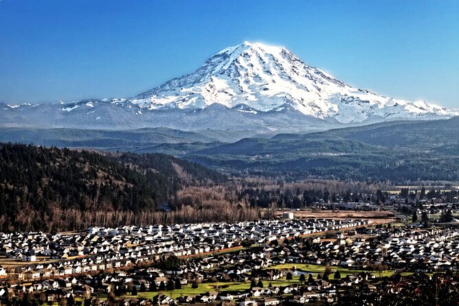 Full-Day Mt Rainier National Park Private Tour in SUV - Guides and Customer Service