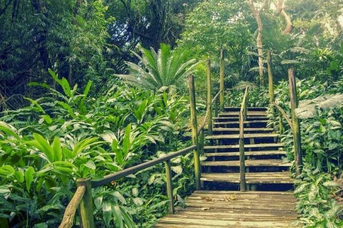 Full Day Nadi Discover Tour ( From Sigatoka Coral Coast Hotels ) - Itinerary Highlights