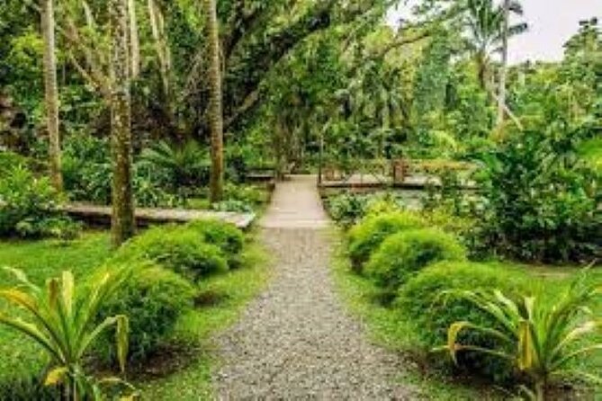 Full Day Nadi Discover Tour ( From Sigatoka Coral Coast Hotels ) - Additional Information