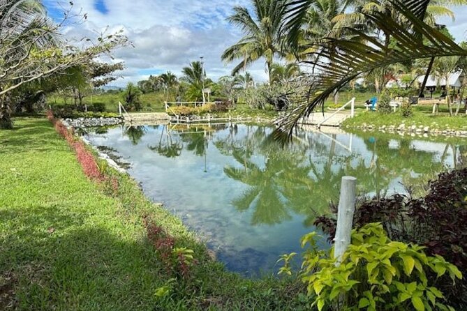 Full Day Nadi Discover Tour ( From Sigatoka Coral Coast Hotels ) - Reviews and Feedback