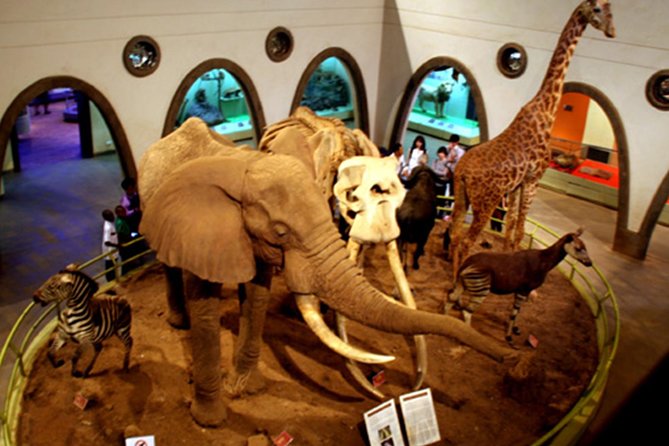 Full-Day Nairobi National Museum, Giraffe Centre and Nairobi National Park Tour - Tour Inclusions