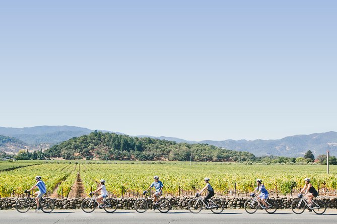 Full-Day Napa Valley E-Bike Tour - Electric Bike Specifications