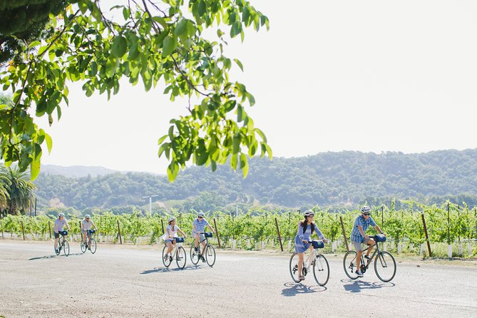 Full-Day Napa Valley E-Bike Tour - Winery Visits and Tastings
