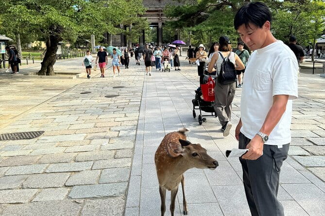 Full Day Nara Deer, Temple, Shrine, Activities & Tea Ceremony - Tea Ceremony and Cultural Experience