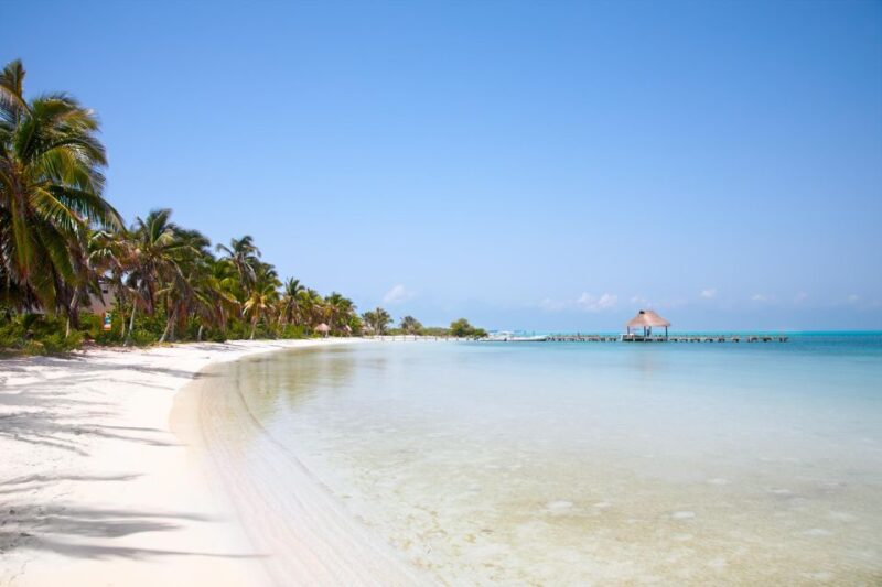 Full Day Nature Expedition to Contoy Island and Isla Mujeres - Key Points