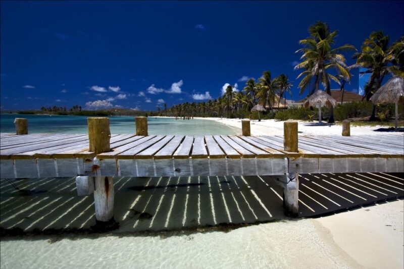 Full Day Nature Expedition to Contoy Island and Isla Mujeres - Highlights and Experiences
