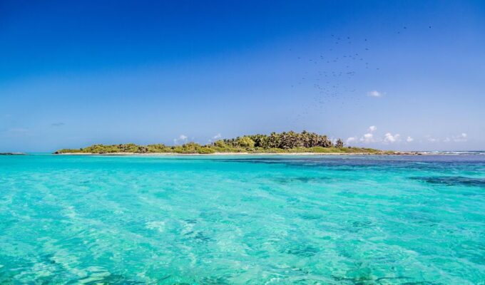Full Day Nature Expedition to Contoy Island and Isla Mujeres - Cancellation and Refund Policy