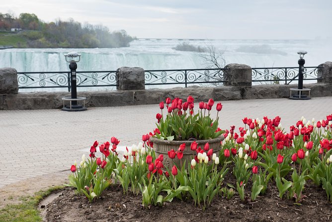 Full-Day Niagara Falls Tour From Toronto - Group Size
