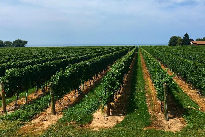 Full-Day Niagara-On-The-Lake Guided Wine and Charcuterie Tour - Pickup and Drop-off Details