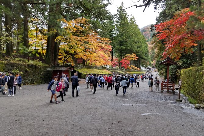 Full Day Nikko Private Tour With Certified Japanese Guide - Tips for a Memorable Tour