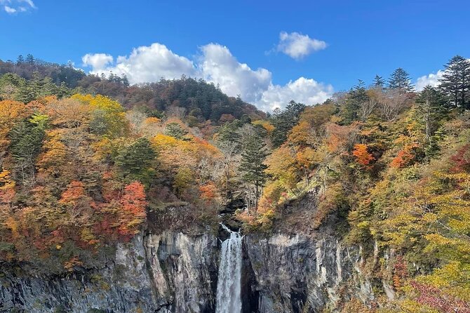 Full Day Nikko Private Tour With English Speaking Guide. - Duration and Timing
