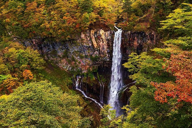 Full Day Nikko Private Tour With Multilingual Chauffeur - Key Points