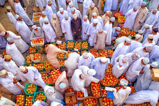 Full-Day Nizwa Fort, Bahla Fort and Jabreen Castle Private Tour - Highlights of the Tour