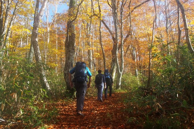 Full Day North Nagano Hiking Experience - Scheduled Tour Duration and Timing