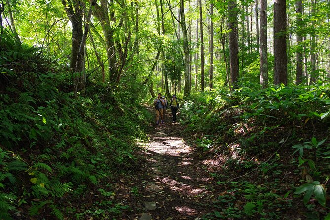 Full Day North Nagano Hiking Experience - Group Size and Exclusivity