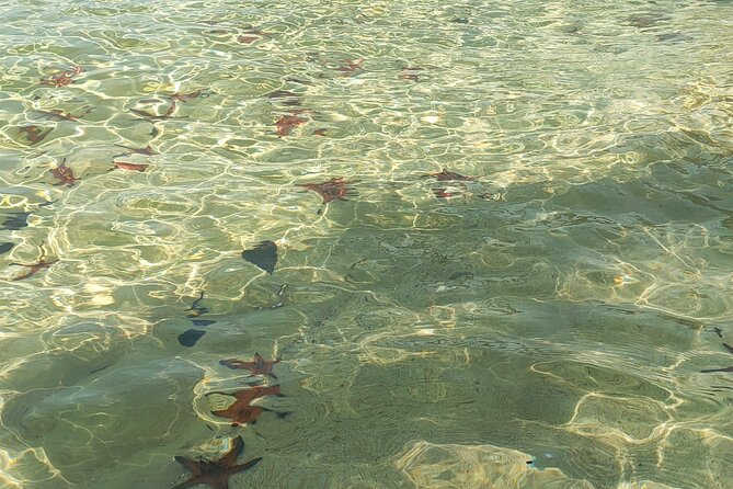 Full Day North of Phu Quoc Island Private Tour by Local Guide - Primeval Forest Exploration