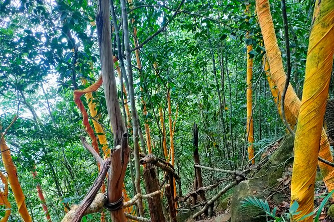 Full Day North of Phu Quoc Island Private Tour by Local Guide - Beaches and Swimming