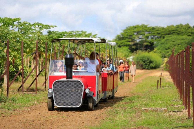 Full-Day North Tour of Mauritius, ALL INCLUSIVE Day Trip, Private SUV Car, Guide - Pickup and Accessibility