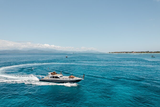 Full Day Nusa Penida by Dedean Yacht 15 Meters - Underwater Footage