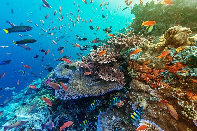 Full-Day Nusa Penida Snorkeling Adventure From Bali - Departure and Pickup Locations