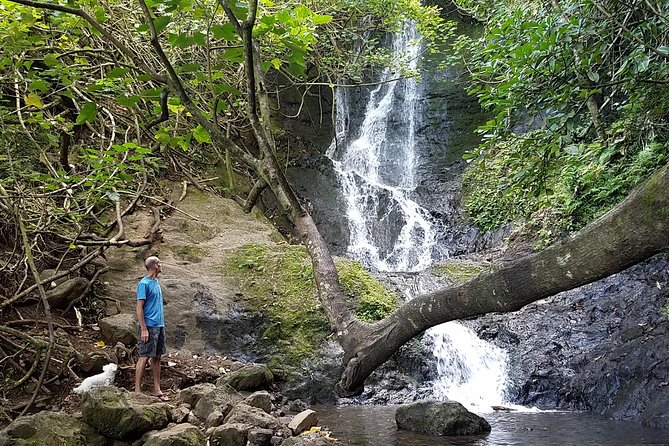 Full Day Oahu Bike, Hike, Sail and Snorkel Combo - Hiking Through Puu Ohia Rainforest