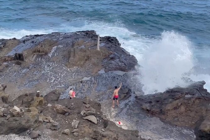 Full Day Oahu Guided Circle Island Tour Inc Snorkel and Turtles - Highlights of the Itinerary