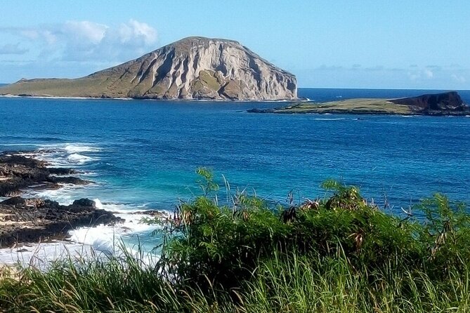 Full Day Oahu Tour With Byodo Temple & Waimea Waterfalls - Lunch and Meal Options