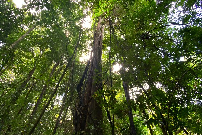 Full-Day Ocean Hike Tour at Puntarenas - Wildlife and Scenery