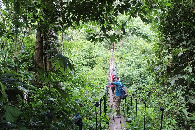 Full Day of Adventures in Tambopata - Boat Ride Along the River