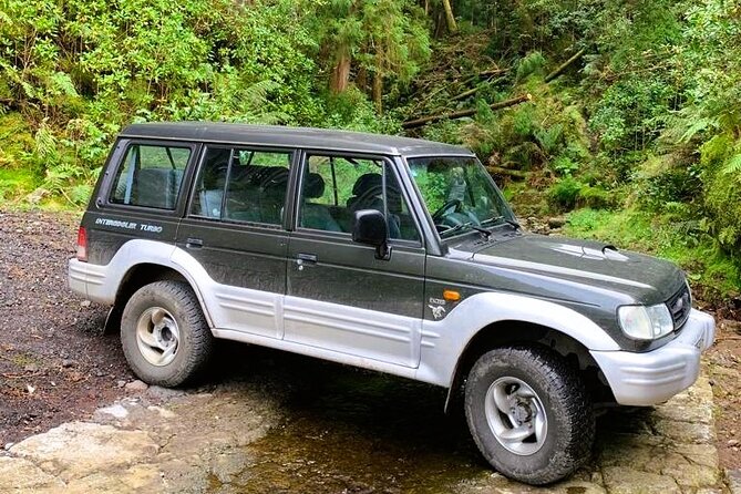 Full Day off Road Tour in Azores - Transportation and Meeting Details