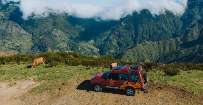 Full-Day Off-Road Tour in Eastside Madeira With Pick-Up - Key Points