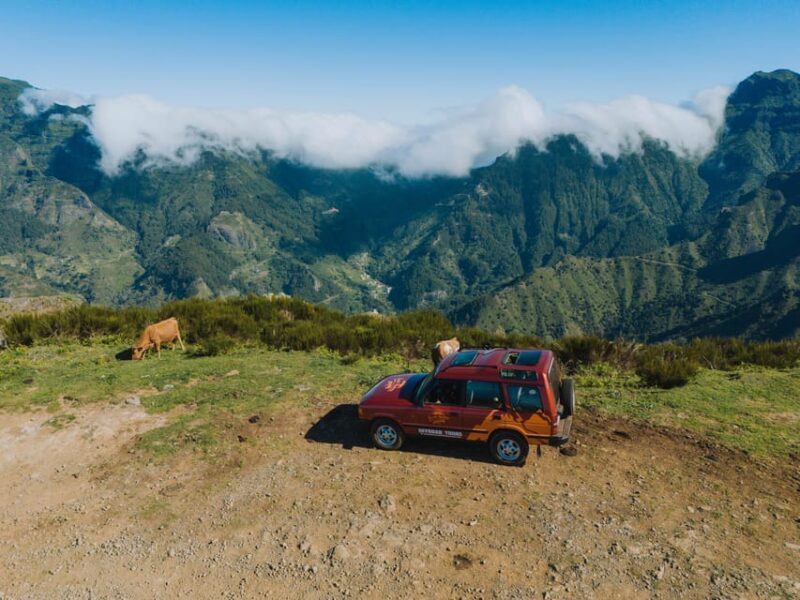 Full-Day Off-Road Tour in Eastside Madeira With Pick-Up - Santana