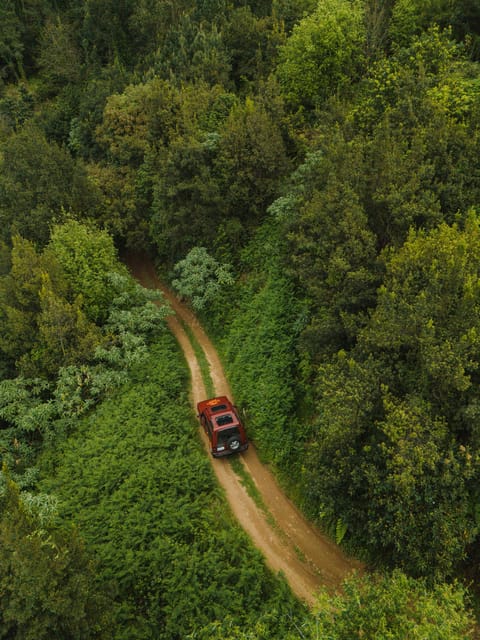 Full Day Off-Road Tour in West Madeira, With Pick-Up - Experience and Activities