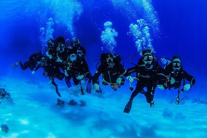 Full Day on Boat With 2 Dives in the Marine Parks of Sharm - Inclusions and Amenities