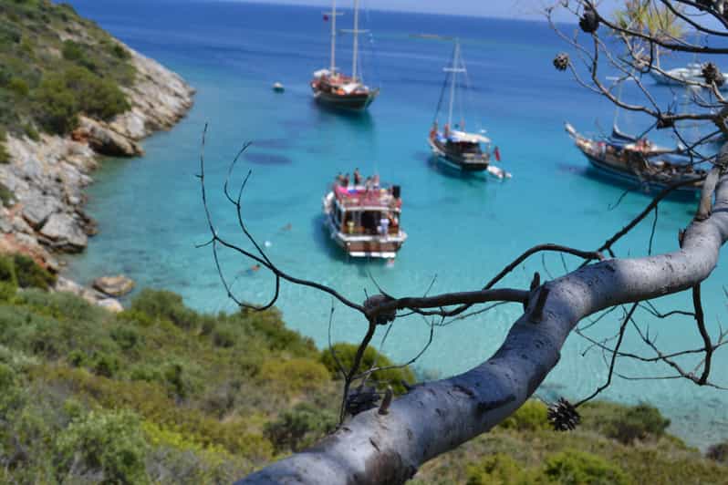 Full-Day Orak Island Boat Trip From Bodrum - Itinerary and Activities