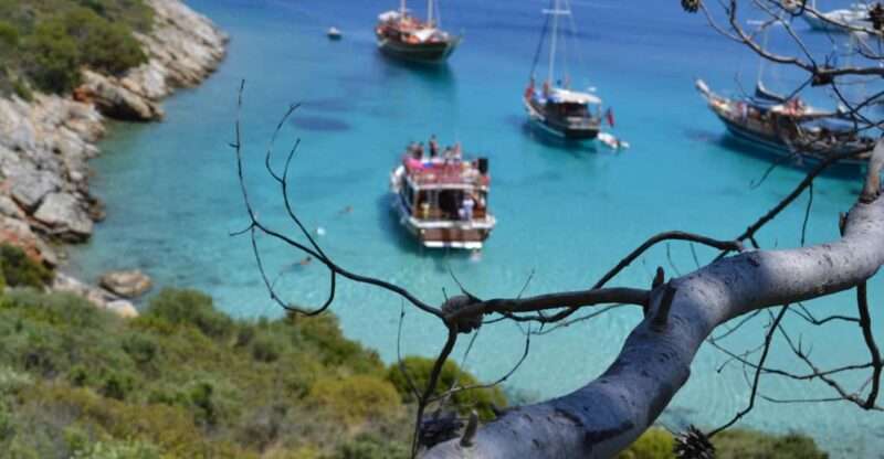 Full-Day Orak Island Boat Trip From Bodrum - Onboard Experience