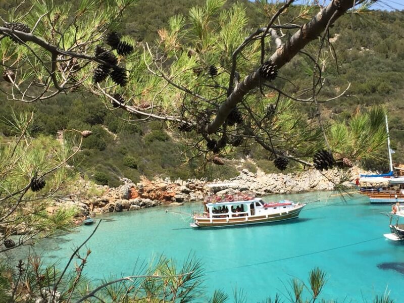 Full-Day Orak Island Boat Trip From Bodrum - Customer Feedback
