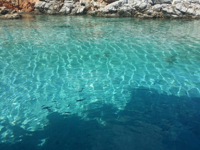 Full-Day Orak Island Boat Trip From Bodrum - Booking and Cancellation