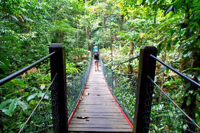 Full Day Orang Utan Sepilok, Proboscis Monkey, Sunbear, RDC - Labuk Bay Proboscis Monkey Sanctuary