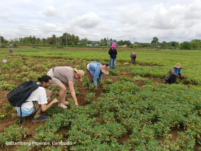 Full-Day Original Bamboo Train, Wat Banan, Phnom Sampov - Frequently Asked Questions