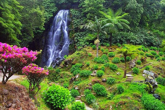 Full Day Outdoor Nordeste & Waterfall Tour With Lunch - Traveler Experiences and Testimonials