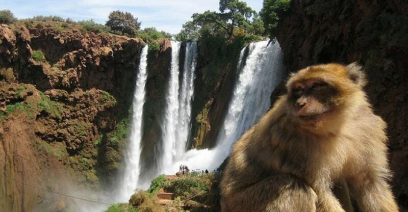 Full Day Ouzoud Waterfalls Day Tour & Guided Walk - Ouzoud Waterfalls Experience