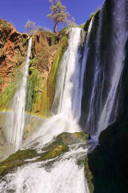 Full Day Ouzoud Waterfalls Excursion & Guide Walk - Experience Highlights