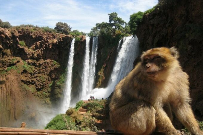 Full Day Ouzoud Waterfalls Excursion & Guide Walk - Frequently Asked Questions