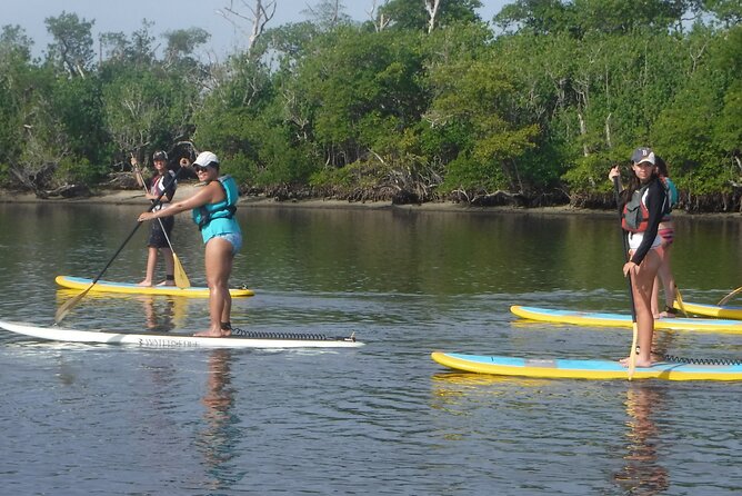 Full-Day Paddle Board Rental in Naples, Florida - Meeting Point and Location