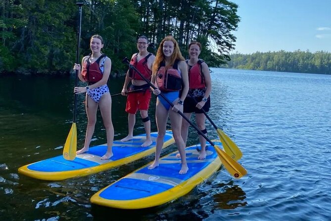 Full Day Paddleboard Rental in Acadia National Park - Pricing and Booking