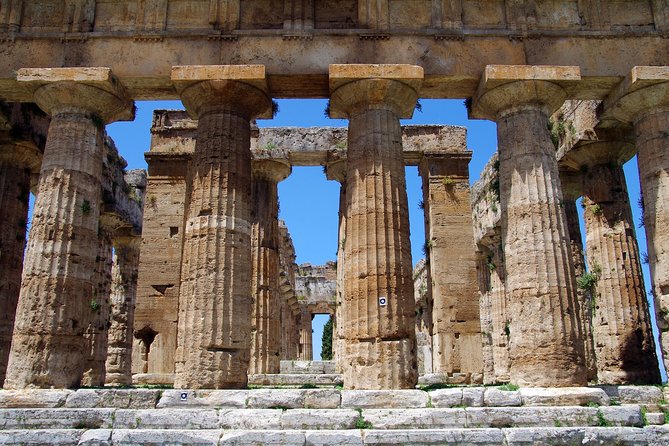 Full-Day Paestum Private Tour With Hotel Pickup - Customer Feedback