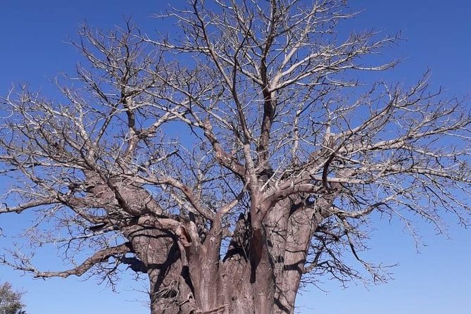 Full Day Panorama Hike and Scenic Tour Minimum 2 People - Traveler Requirements